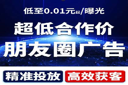 XX行业竞价广告的投放策略与效果分析
